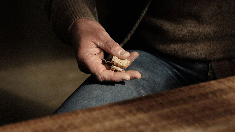 banner__blog-baking-better-2_800x450