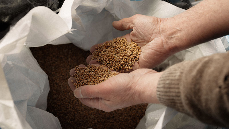 banner__blog-baking-better_800x450