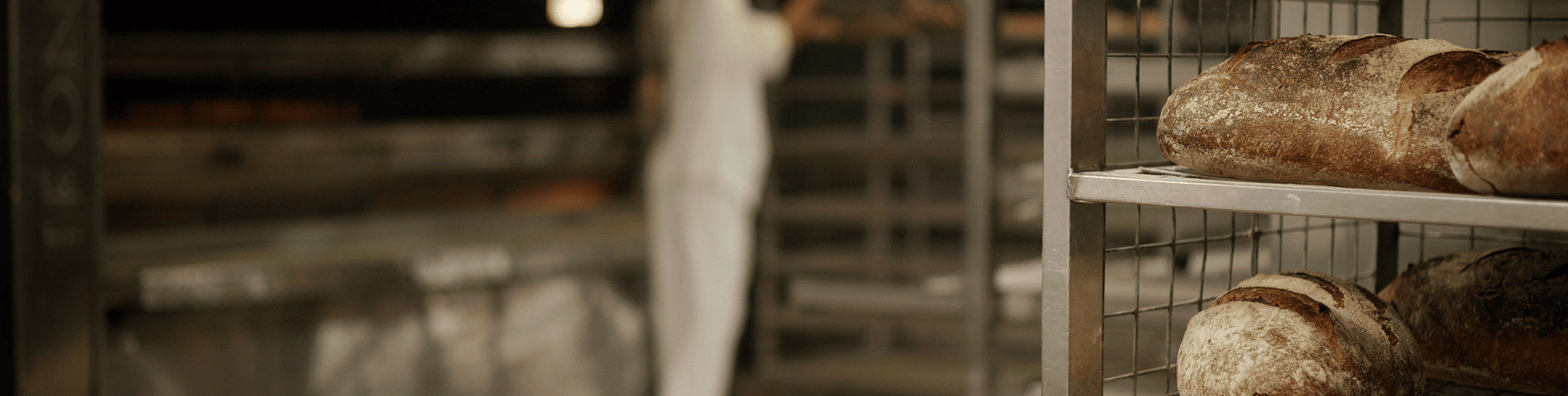 banner__our-products_1980x500_desktop