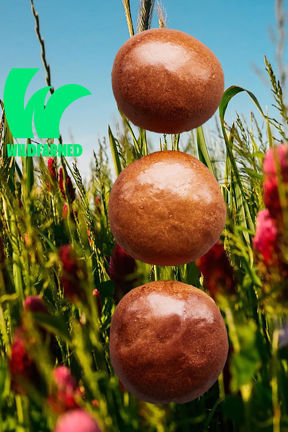 banner__product-wildfarmed-burger-bun_980x1470_desktop