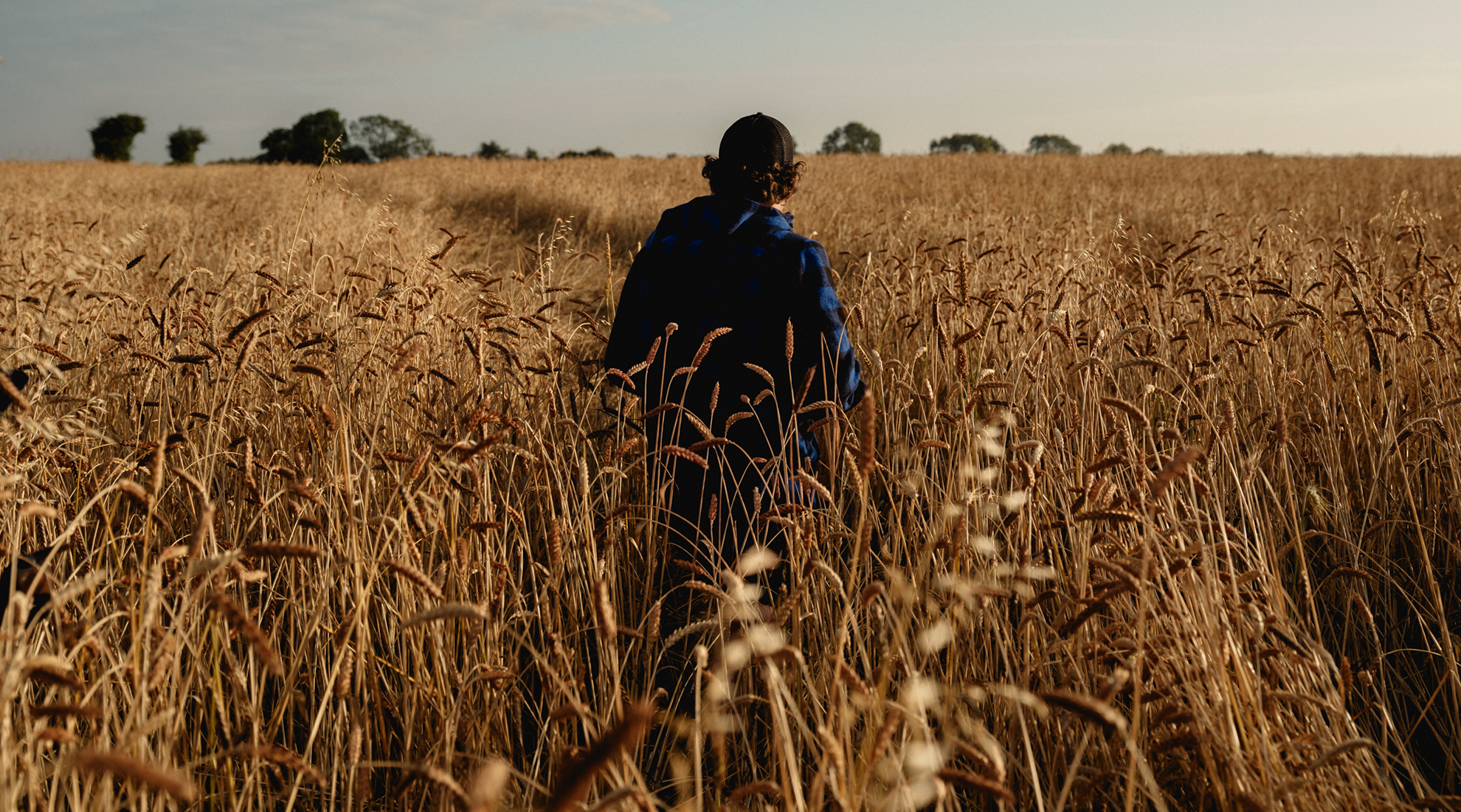 Better grains, better bread